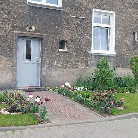Apartament W Centrum Nysa Exteriér fotografie